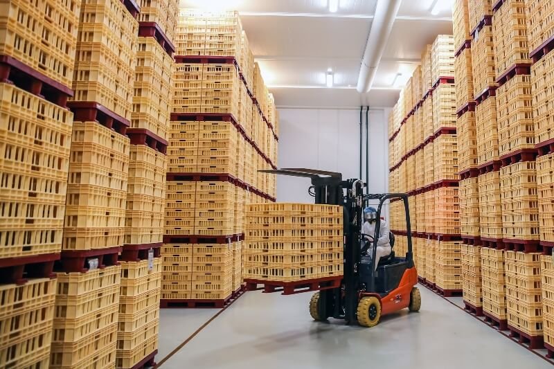 Plastic Pallet for Food Industry